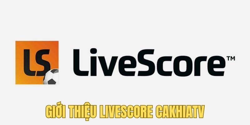 Giới thiệu sơ lược về tính năng được nhiều người yêu thích